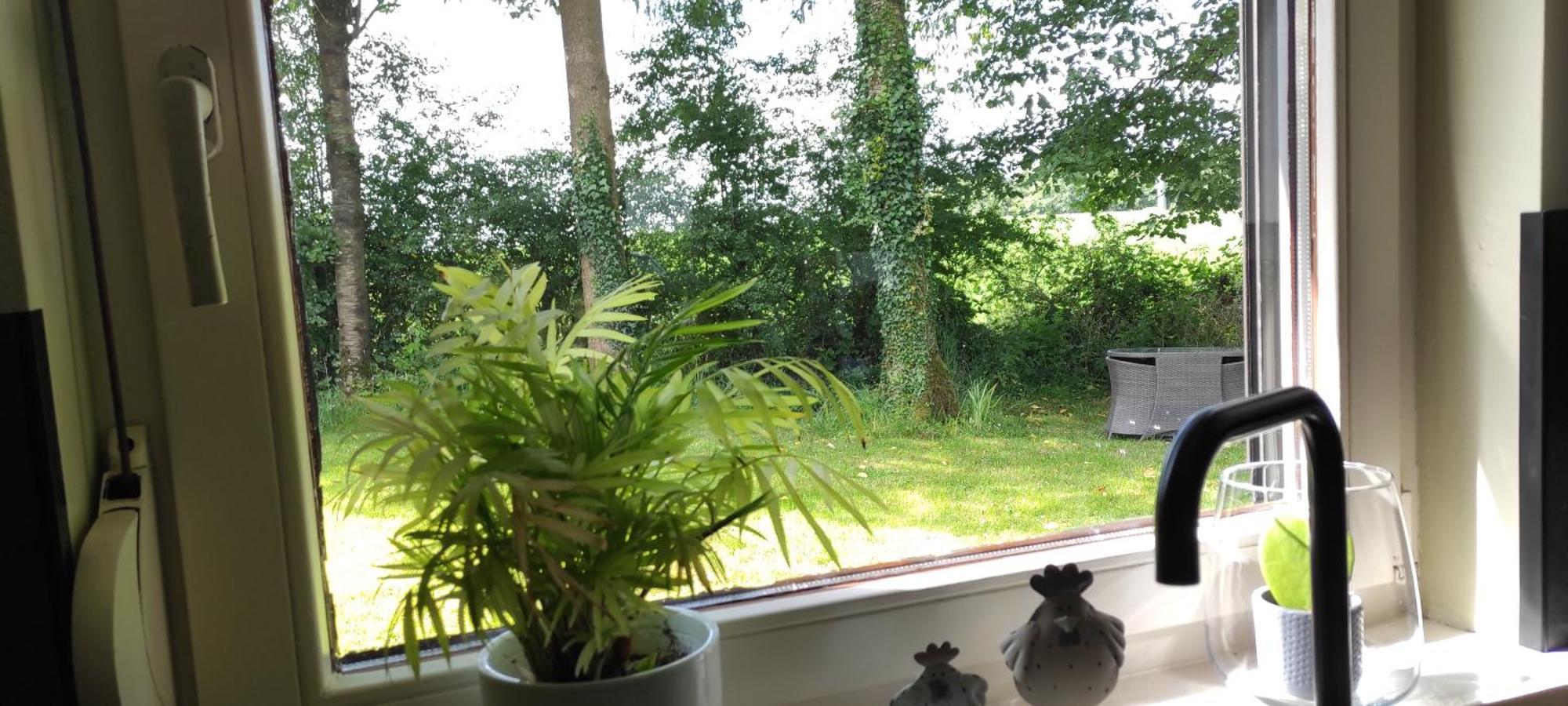 Au "Cottage Paisible" Rendeux Екстер'єр фото